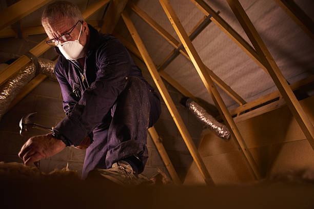 Best Commercial Insulation in Neptune Beach, FL